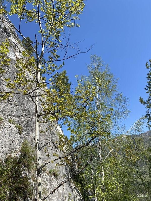 Алтай-Кайлас - фото 23