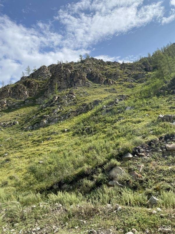 Алтай-Кайлас - фото 42