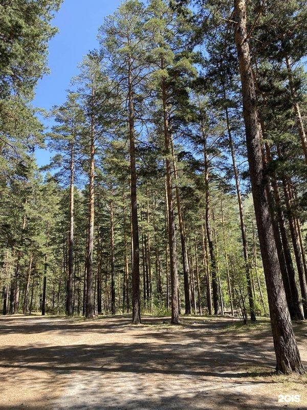 Алтай-Кайлас - фото 47