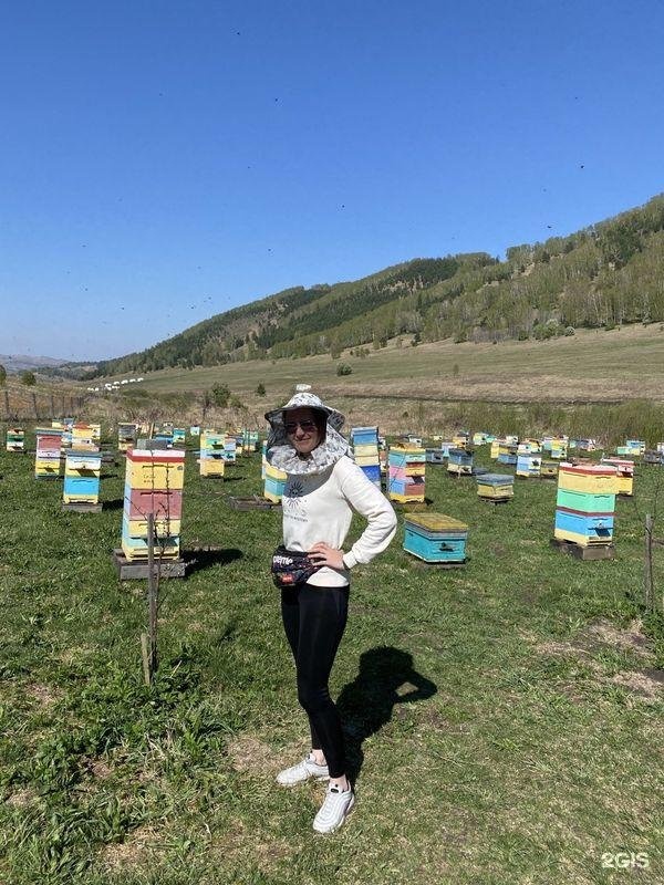 Алтай-Кайлас - фото 56