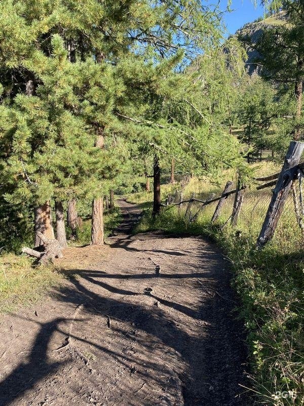 Алтай-Кайлас - фото 68