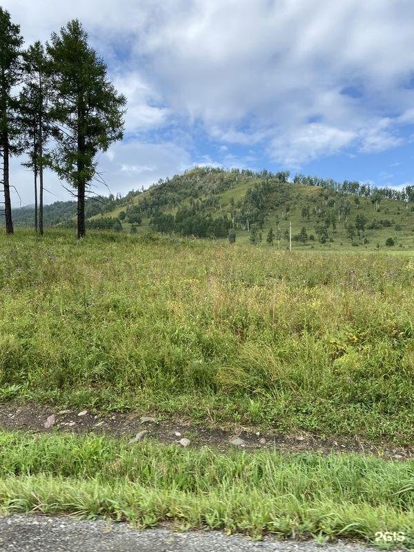 Алтай-Кайлас - фото 72