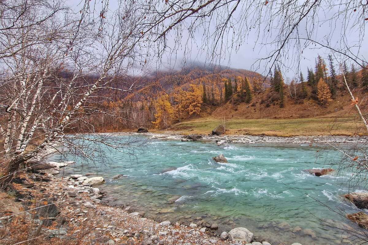 Автомобильный тур «Алтай — уникальная дорога мира» - фото 6