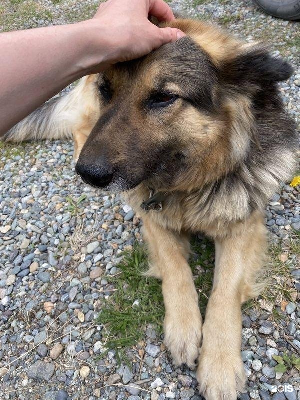 Алтай-Кайлас - фото 114