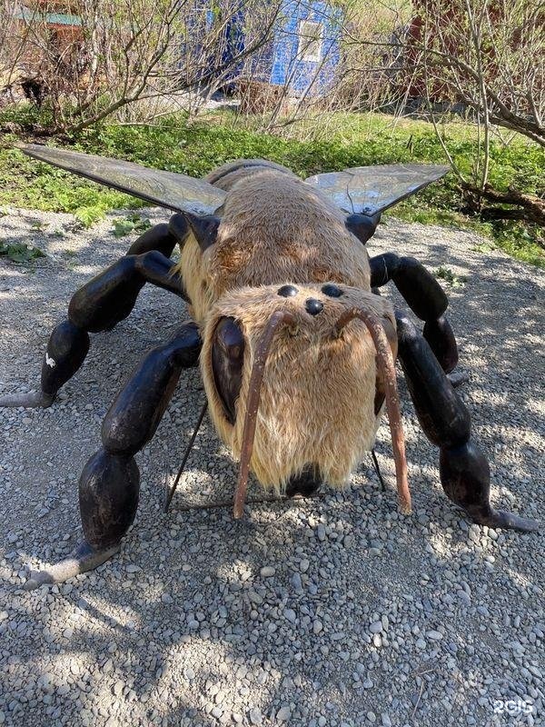 Алтай-Кайлас - фото 118