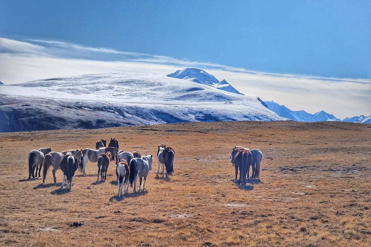 Автомобильный тур «Алтай — уникальная дорога мира» - фото 7