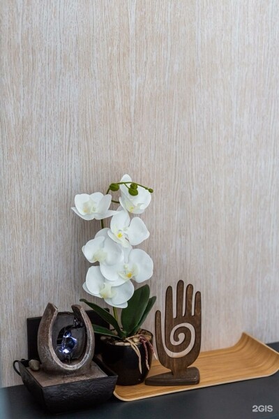 Купол с Фонтаном - фото 9