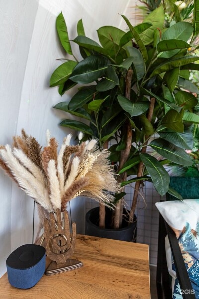 Купол с цветами - фото 7