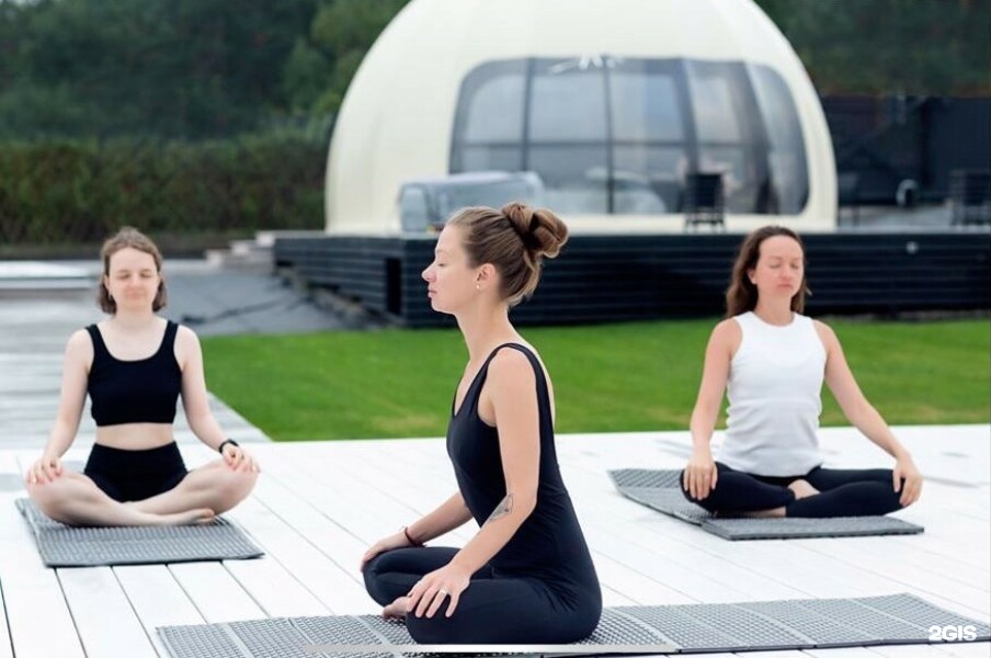 Купол с цветами - фото 15