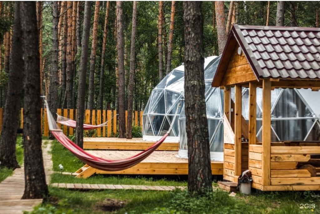 Royal Forest - фото 10