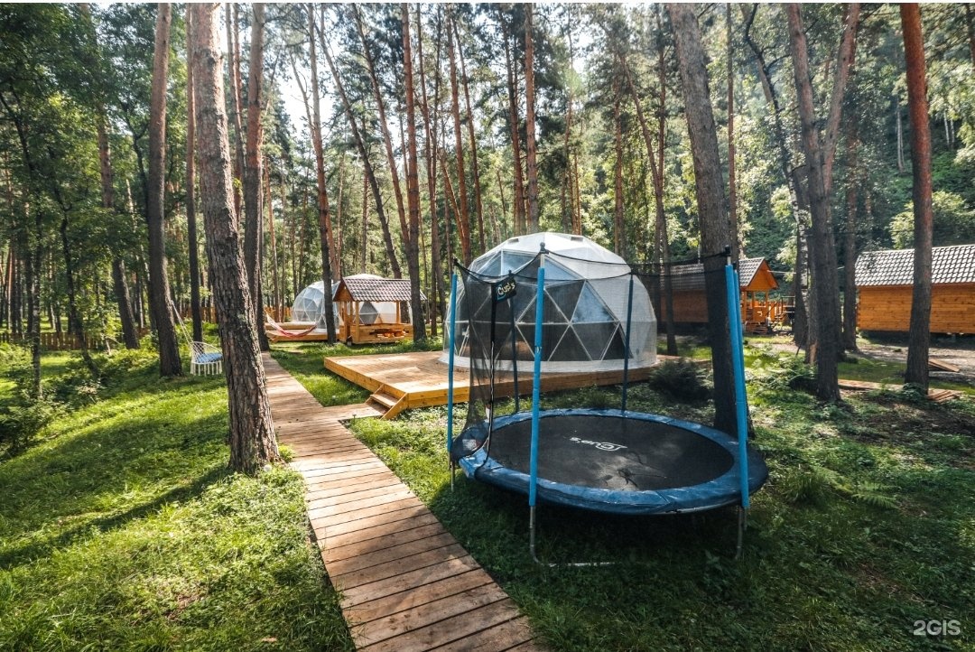 Royal Forest - фото 14