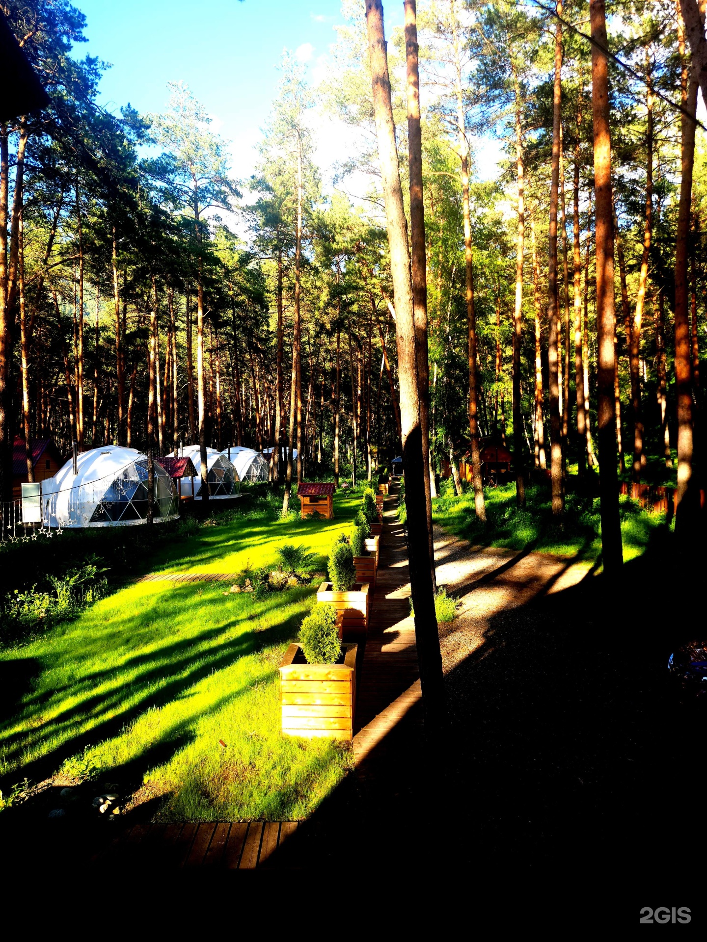 Royal Forest - фото 16