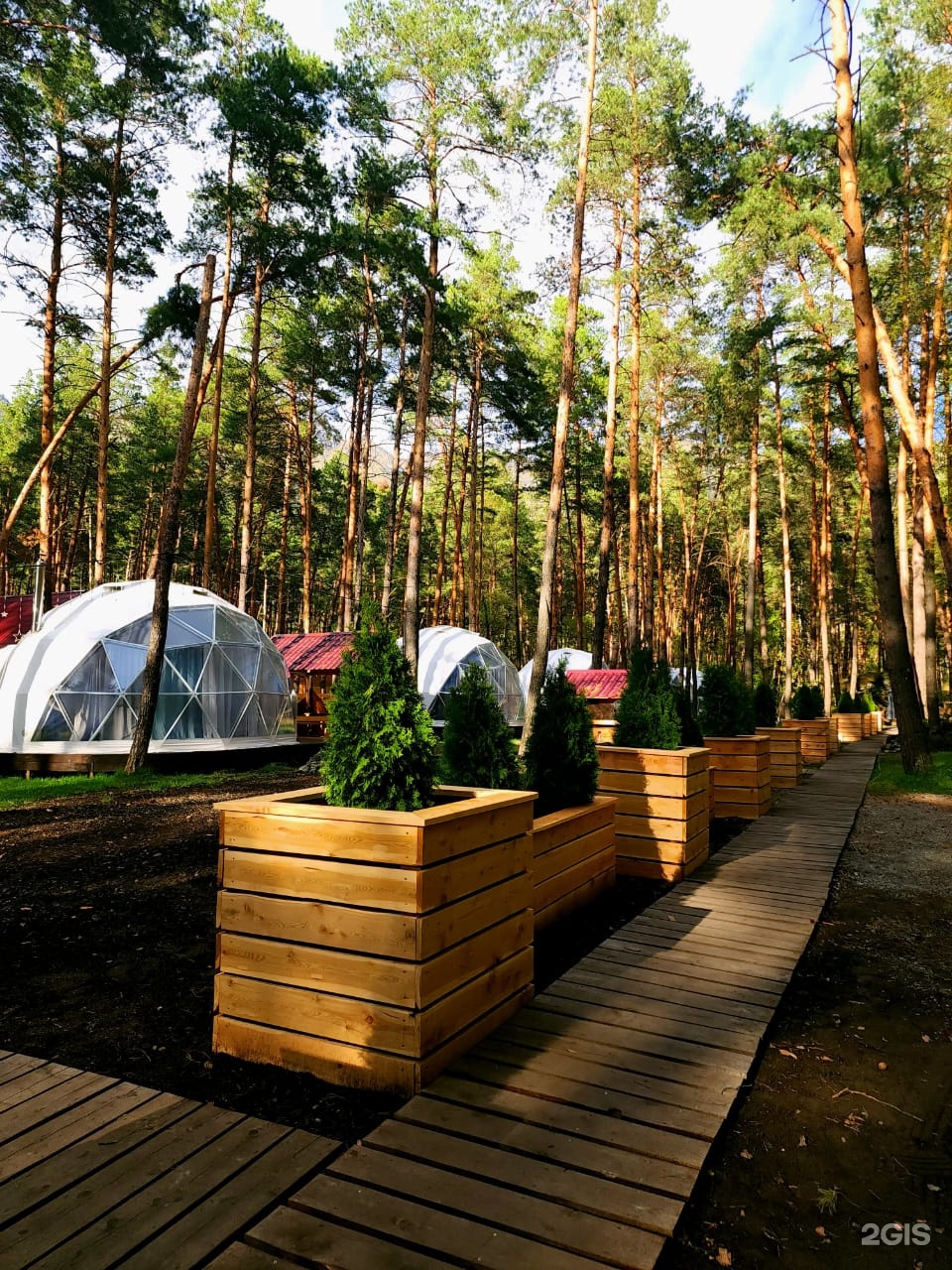 Royal Forest - фото 18