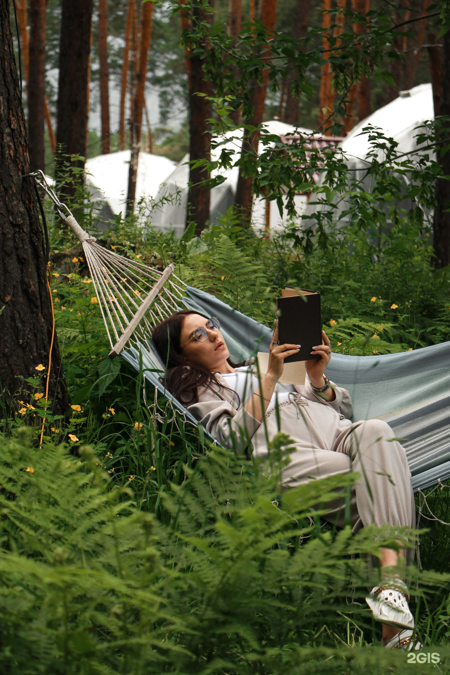 Royal Forest - фото 19