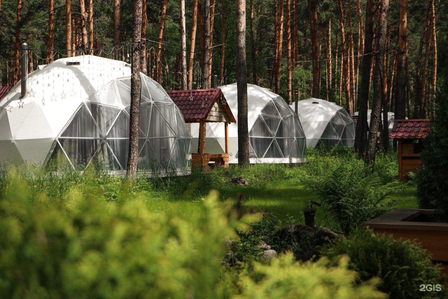 Royal Forest - фото 21