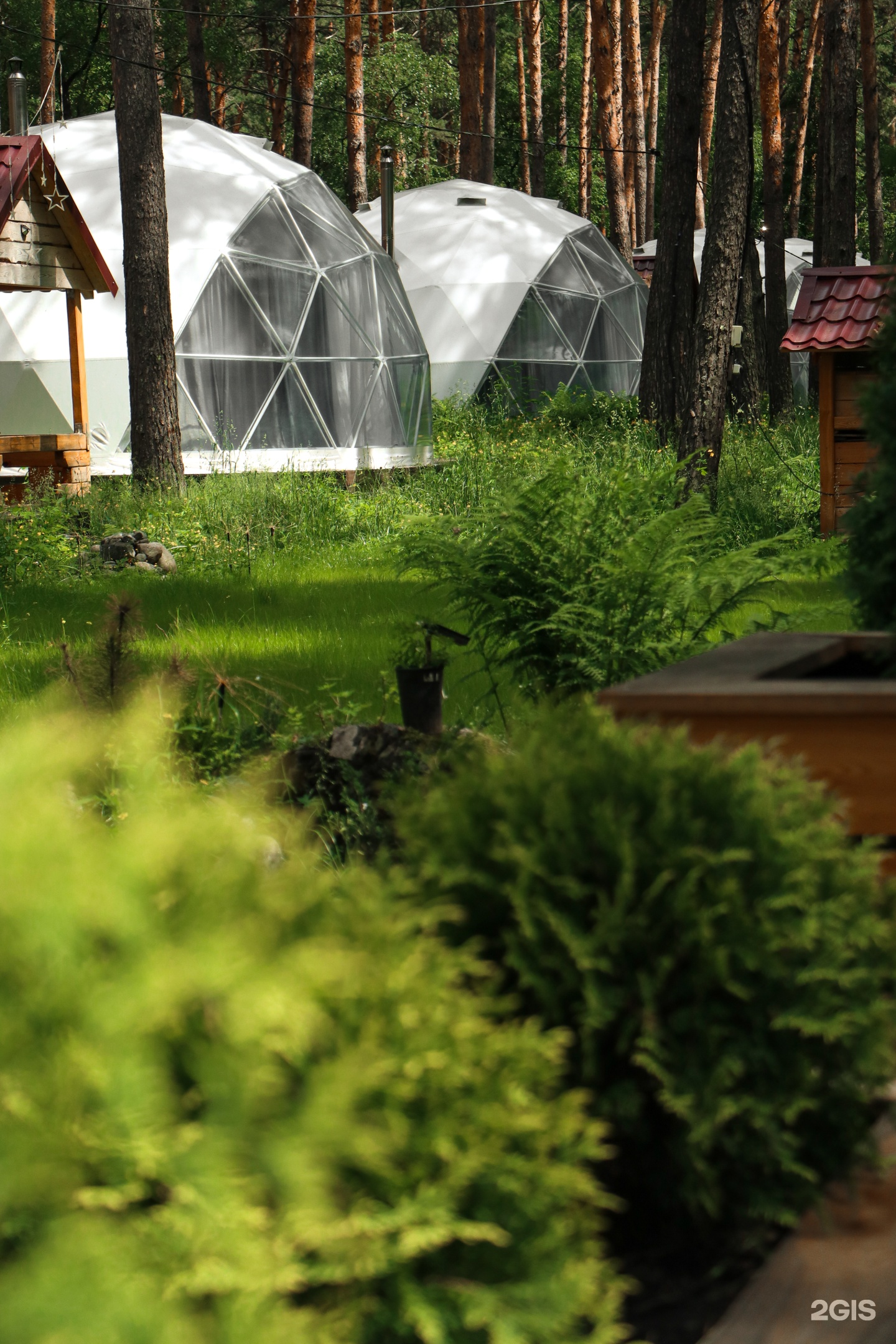 Royal Forest - фото 23