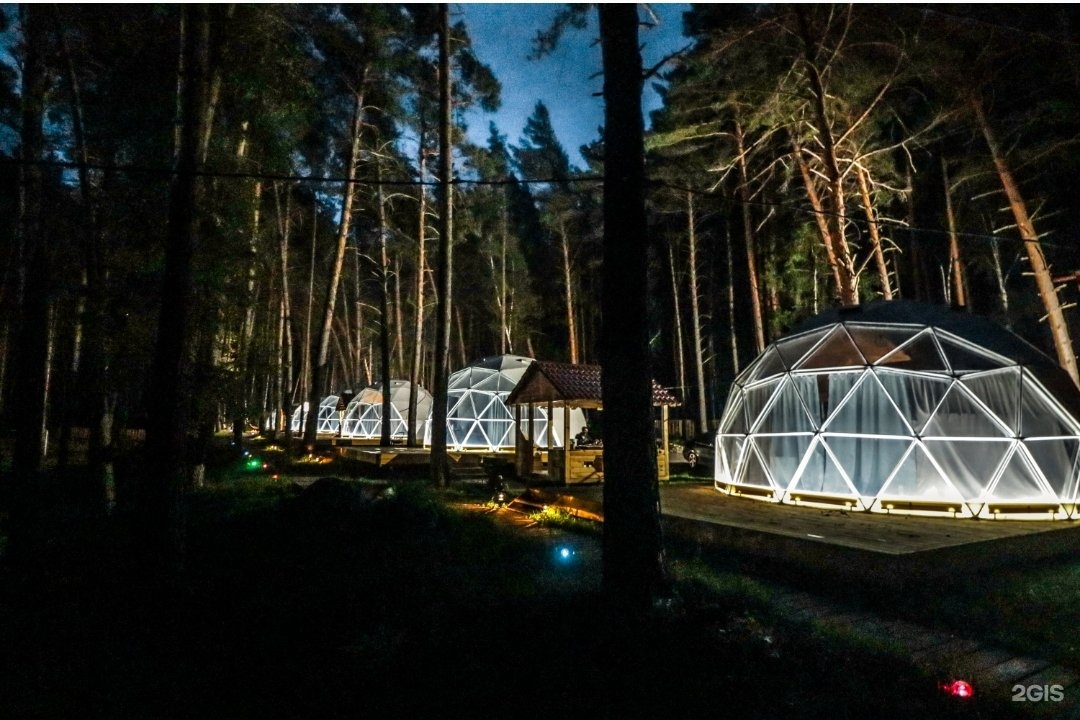 Royal Forest - фото 25