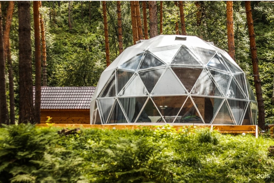 Royal Forest - фото 27