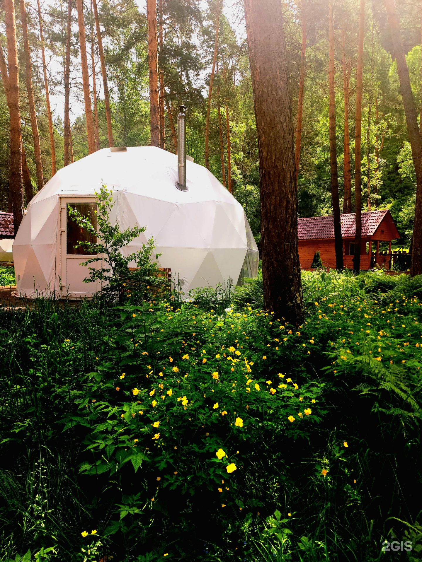 Royal Forest - фото 28