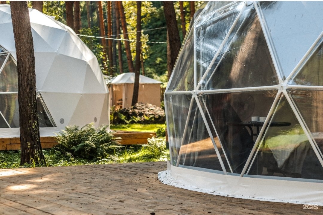 Royal Forest - фото 29