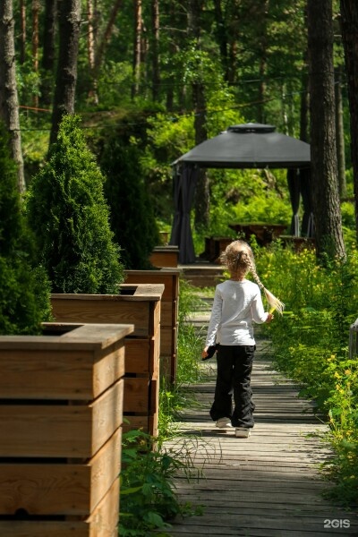 Купол - фото 6