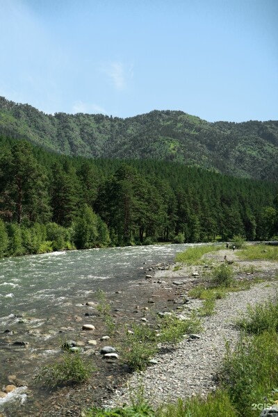 Купол - фото 19