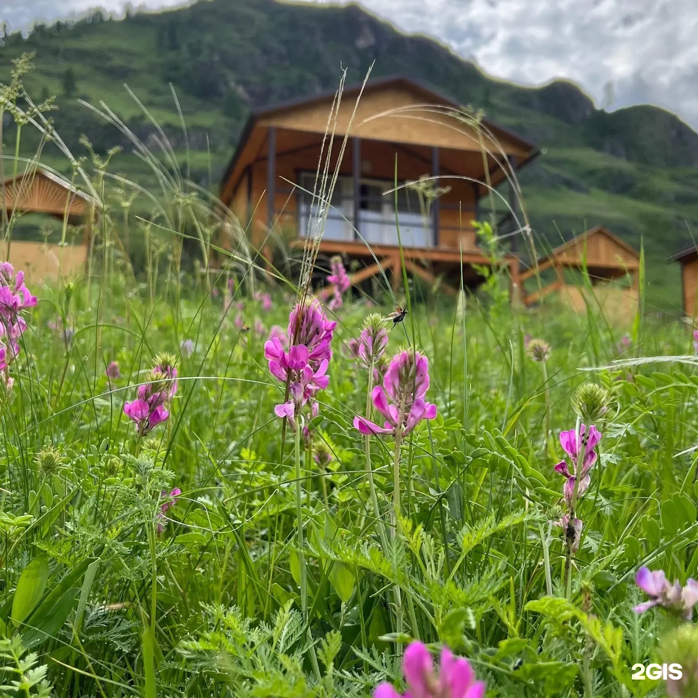 Четырехместный домик - фото 1