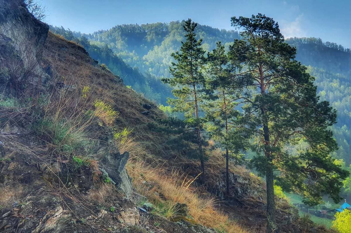 Конный тур для опытных всадников «Галопом по Алтаю» - фото 10