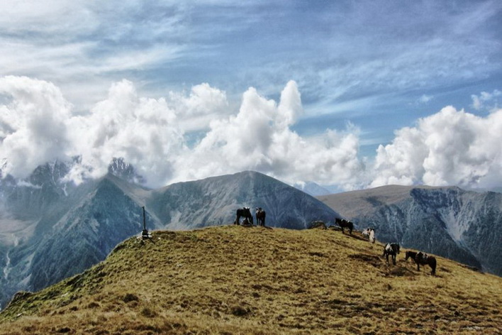 Конный тур по Алтаю «К Белухе потаённой тропой» - фото 2