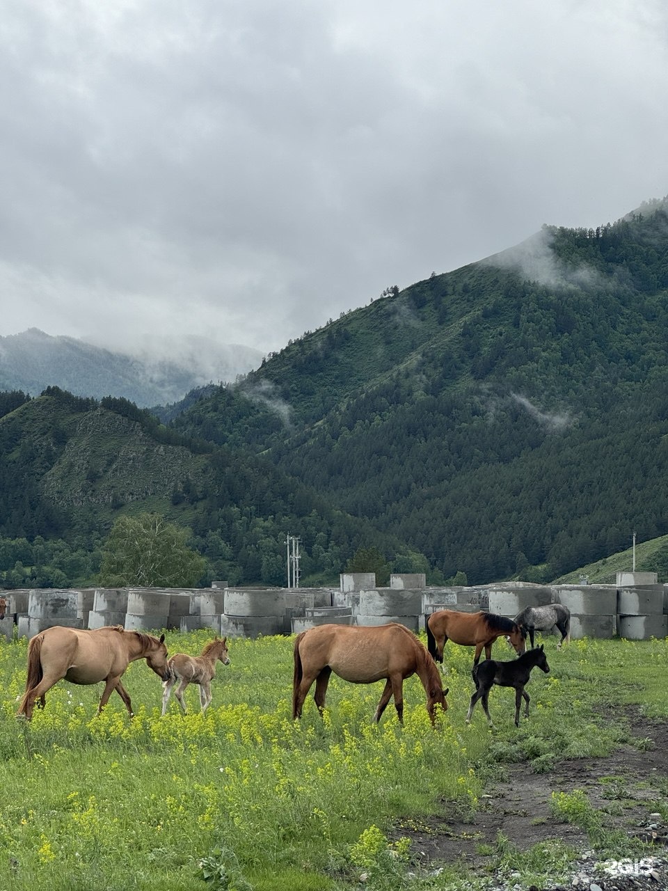 Горный отдых - фото 25