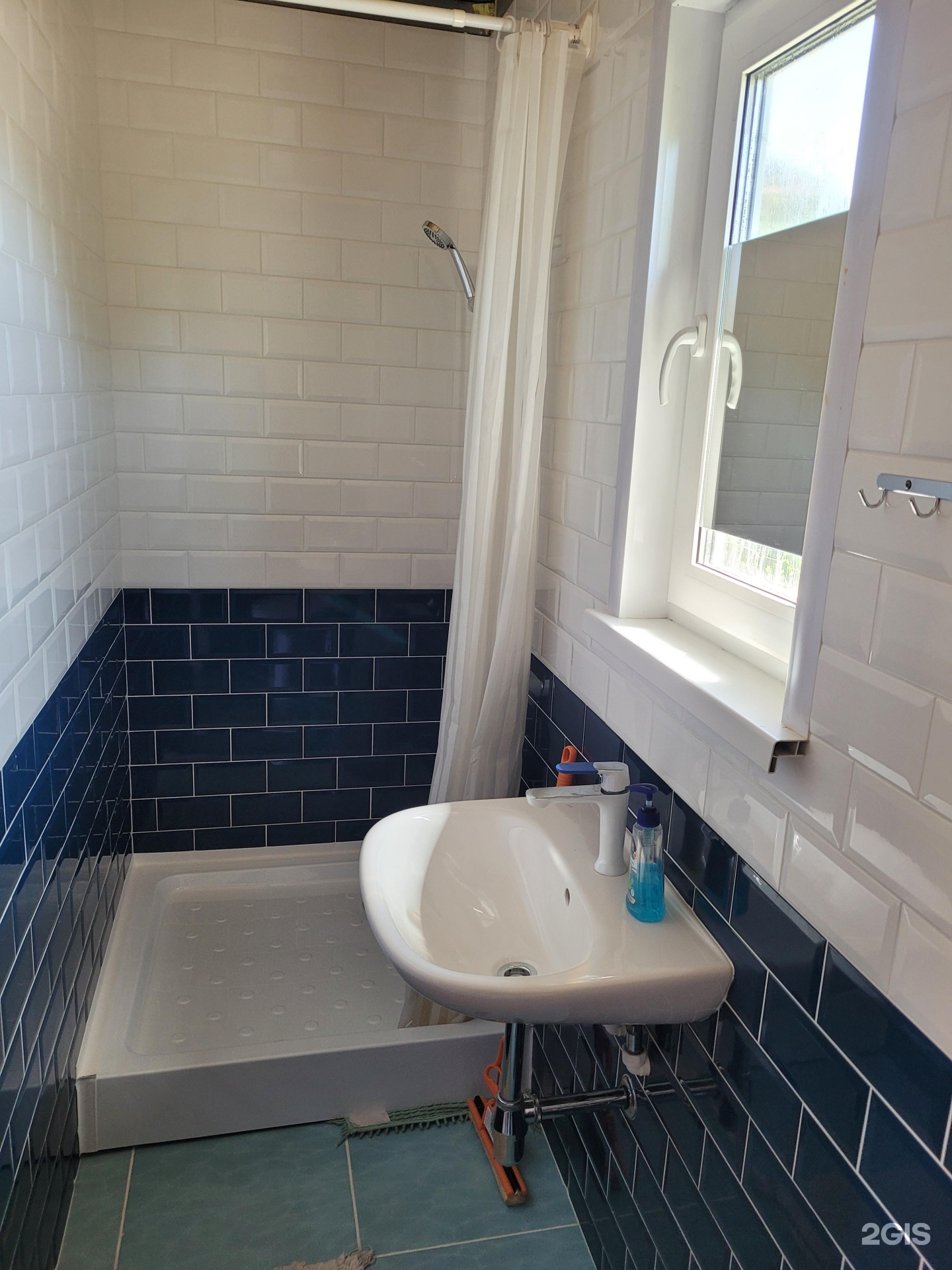 Чабрец - фото 13