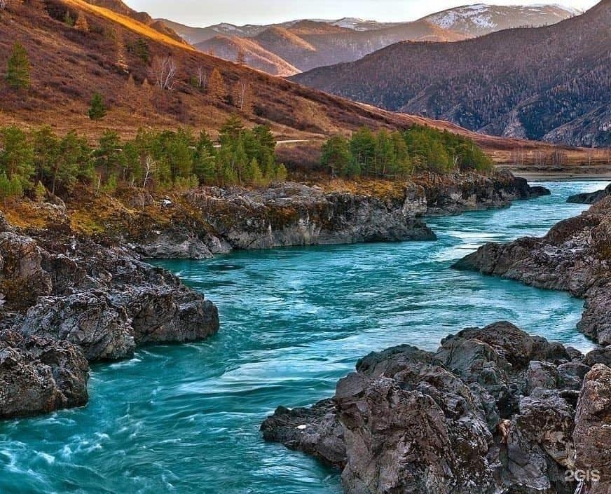 Чечек - фото 17