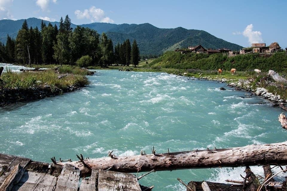 Чечек - фото 20
