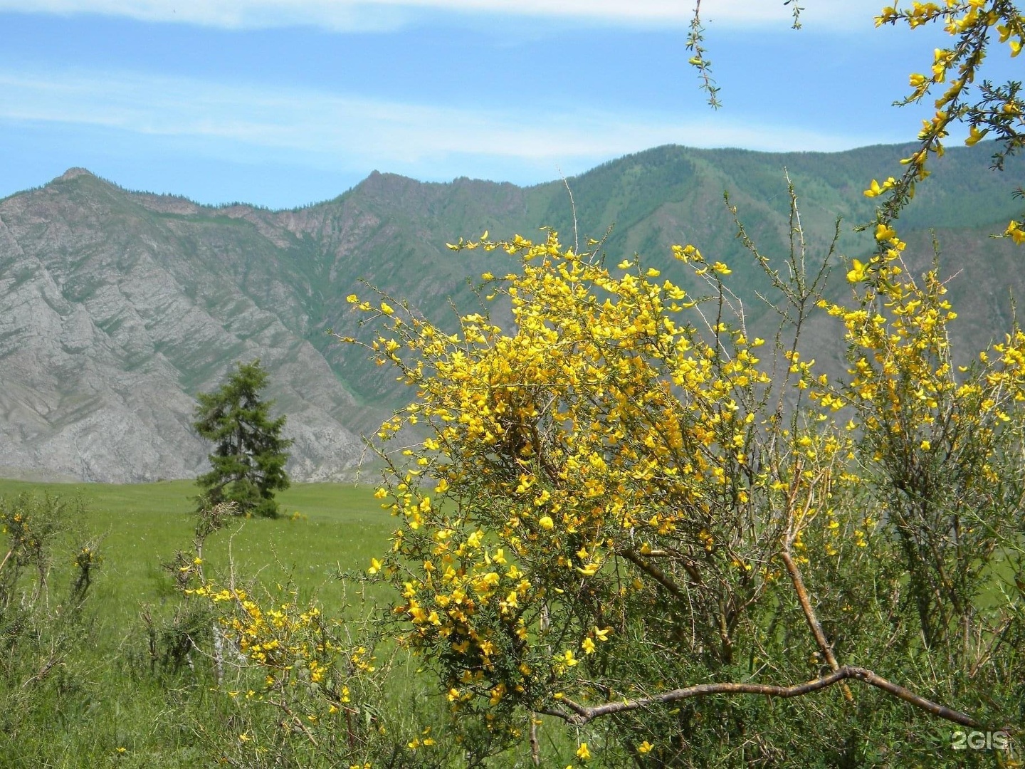 Чечек - фото 22