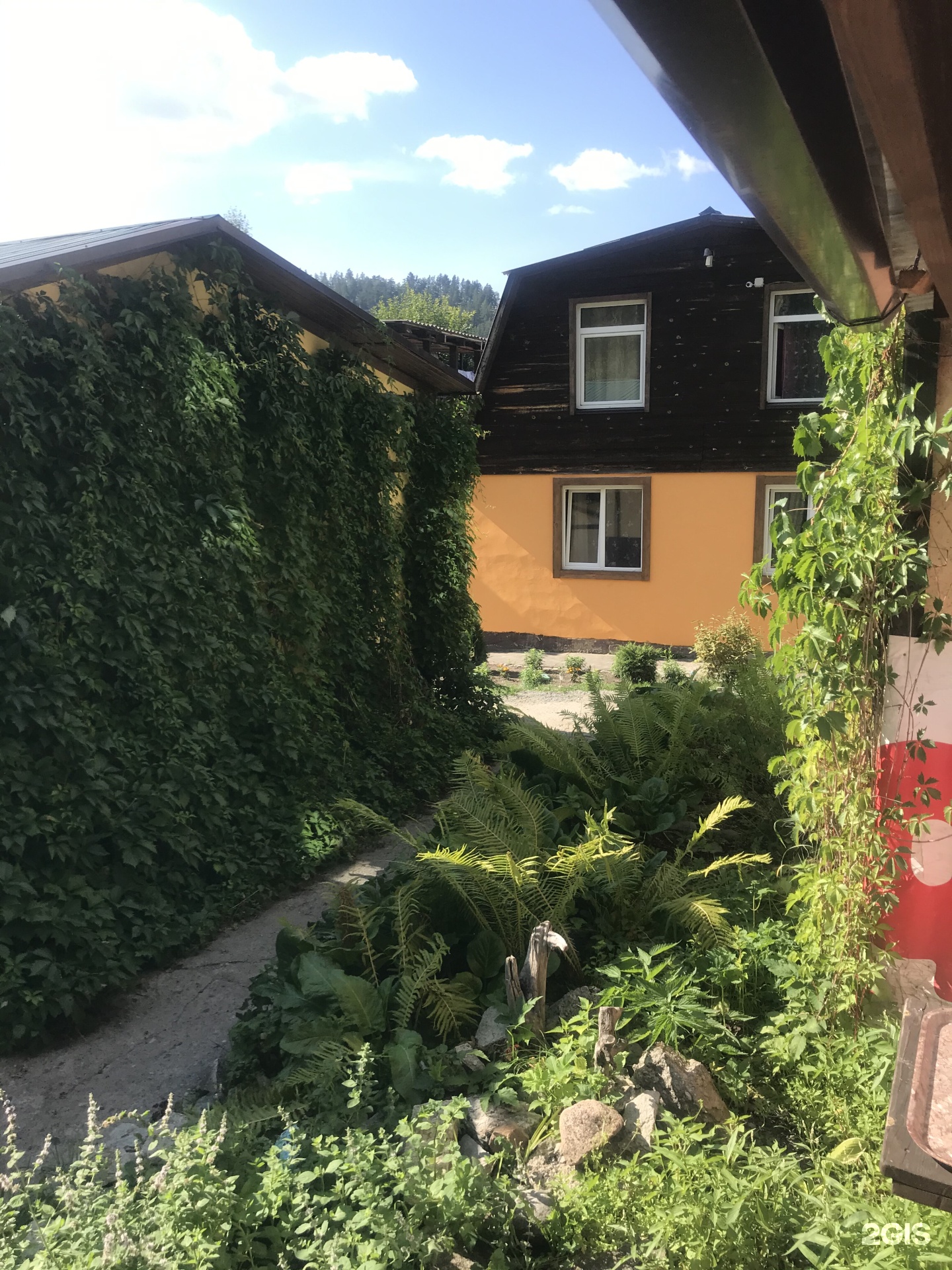 Чечек - фото 37