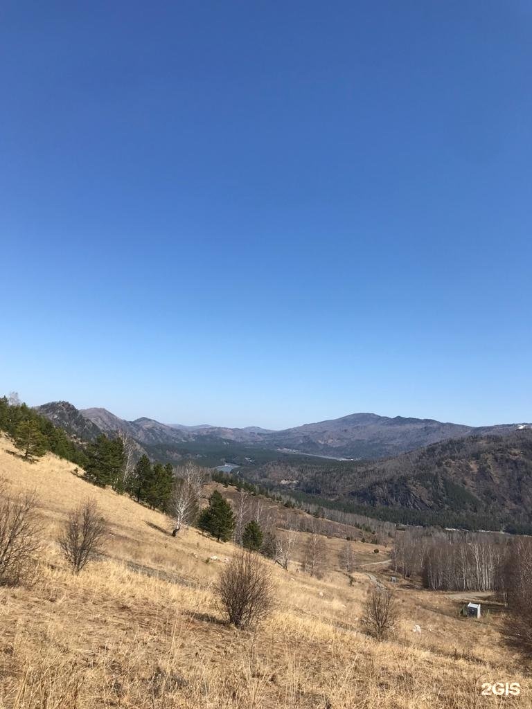 Чечек - фото 49