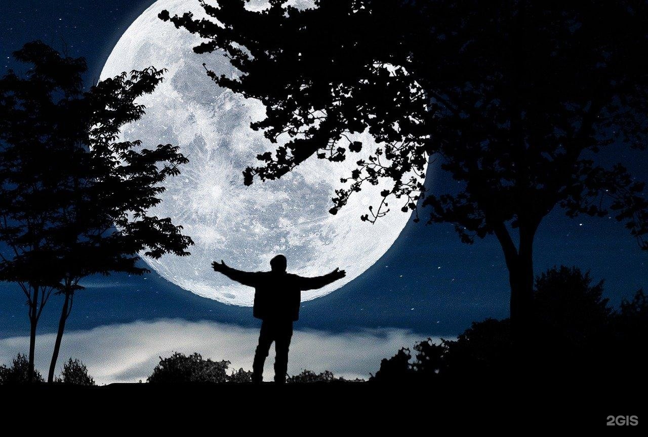 Чечек - фото 51