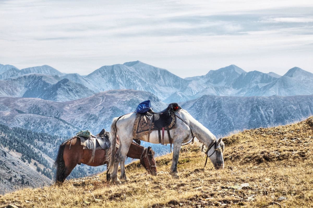 Конный тур по Алтаю «Каракольские озера — кольцевой» - фото 6