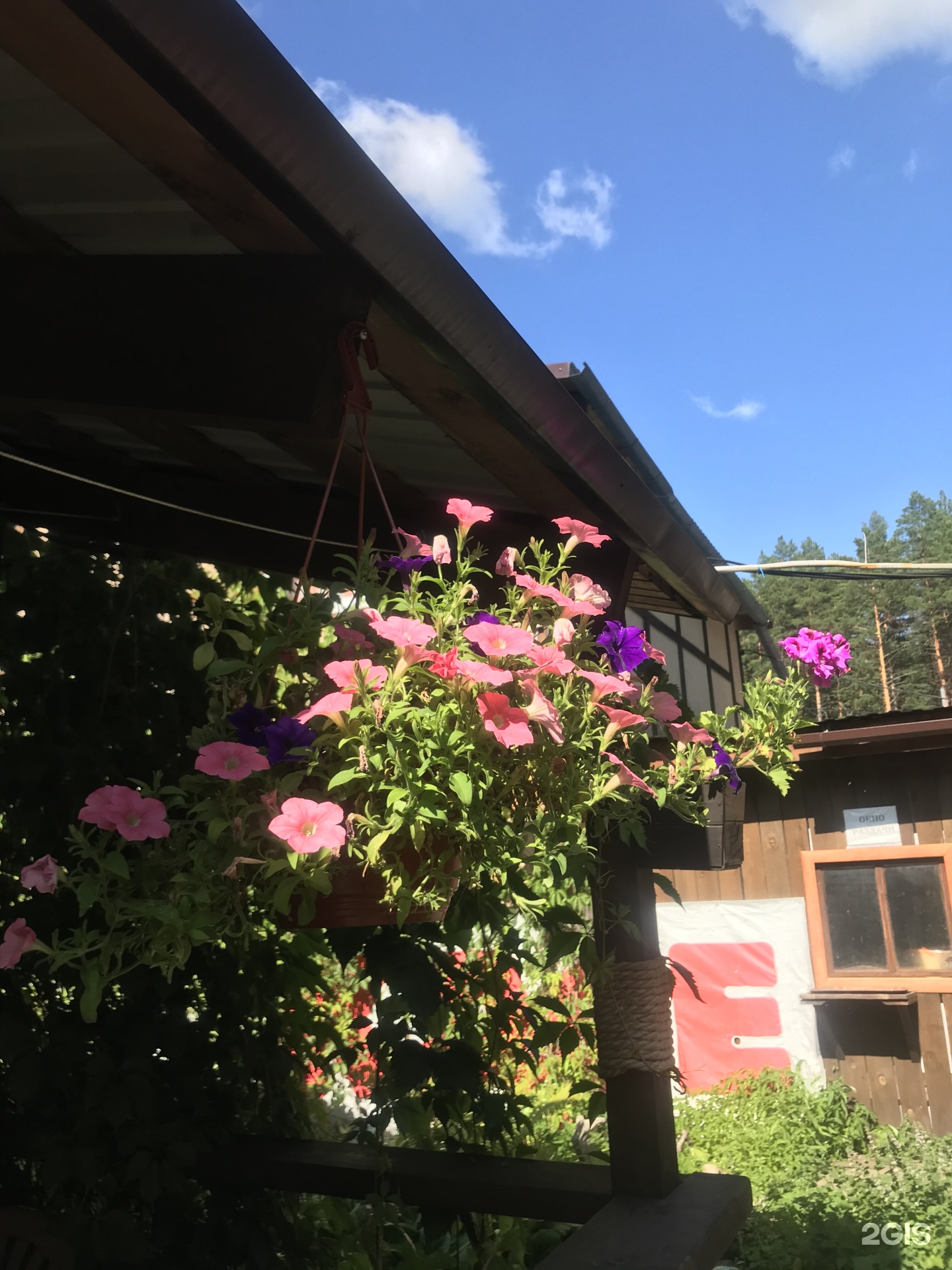 Чечек - фото 52