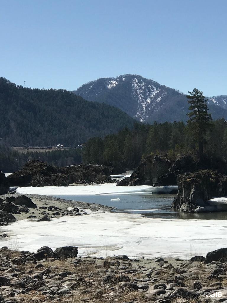 Чечек - фото 64