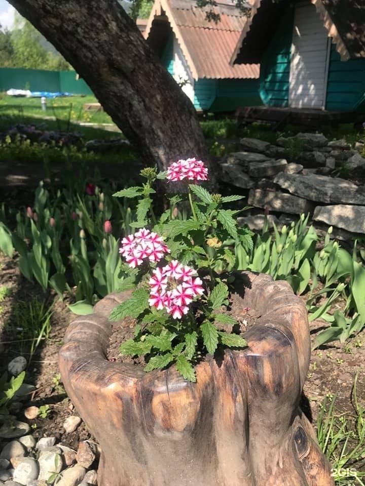 Чечек - фото 75