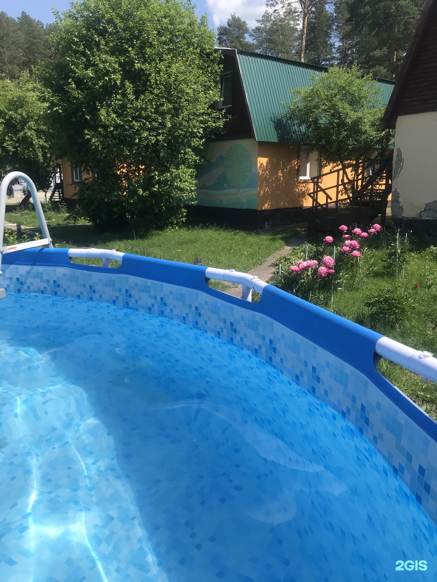 Чечек - фото 77