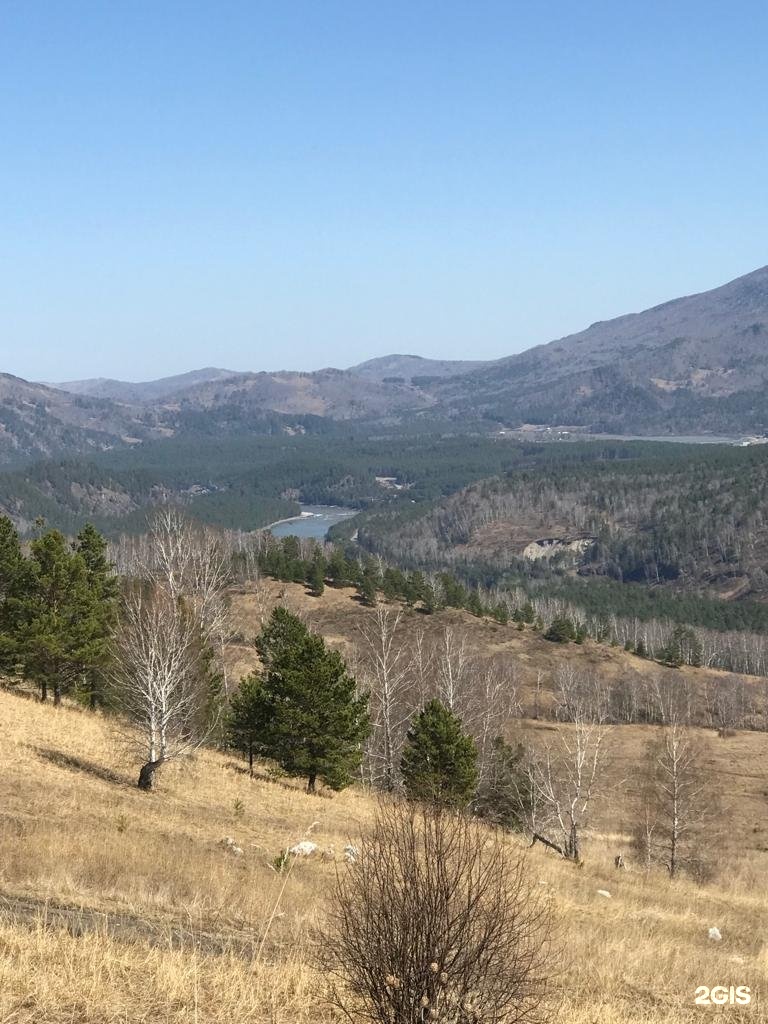 Чечек - фото 79