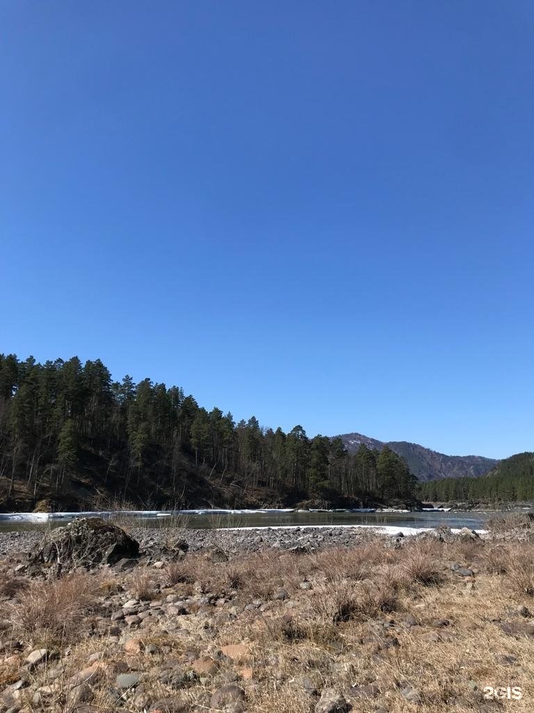 Чечек - фото 88