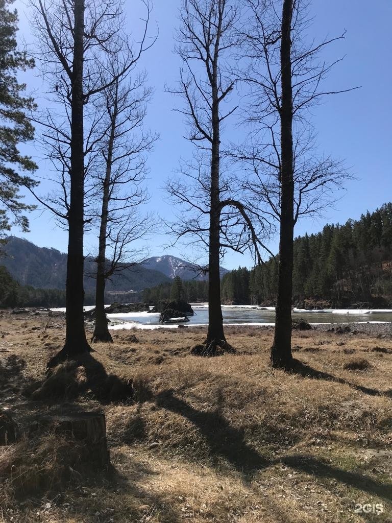 Чечек - фото 90