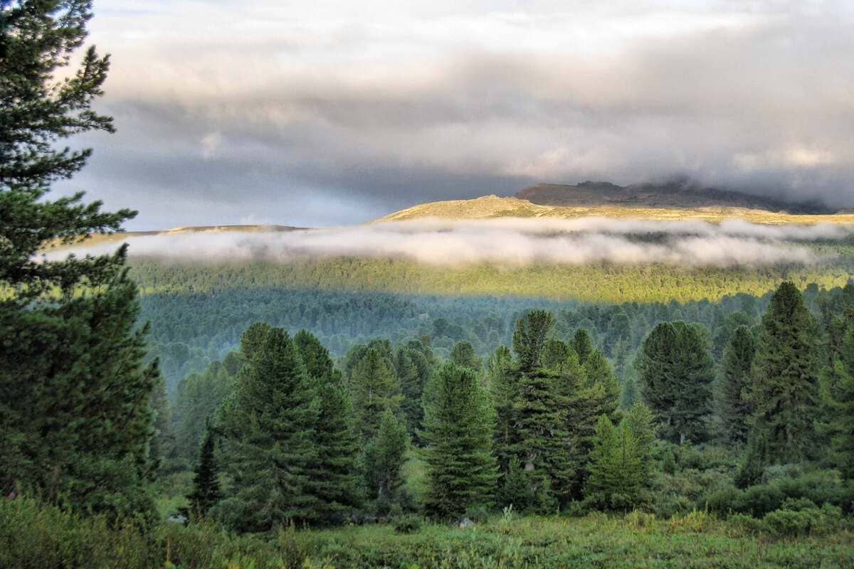 Конный тур по Алтаю «Каракольские озера — кольцевой» - фото 10