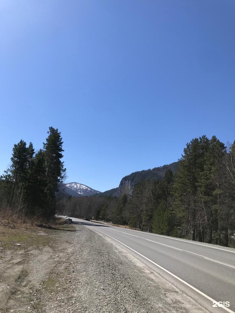 Чечек - фото 102