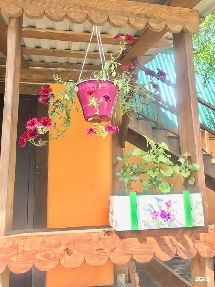 Чечек - фото 109