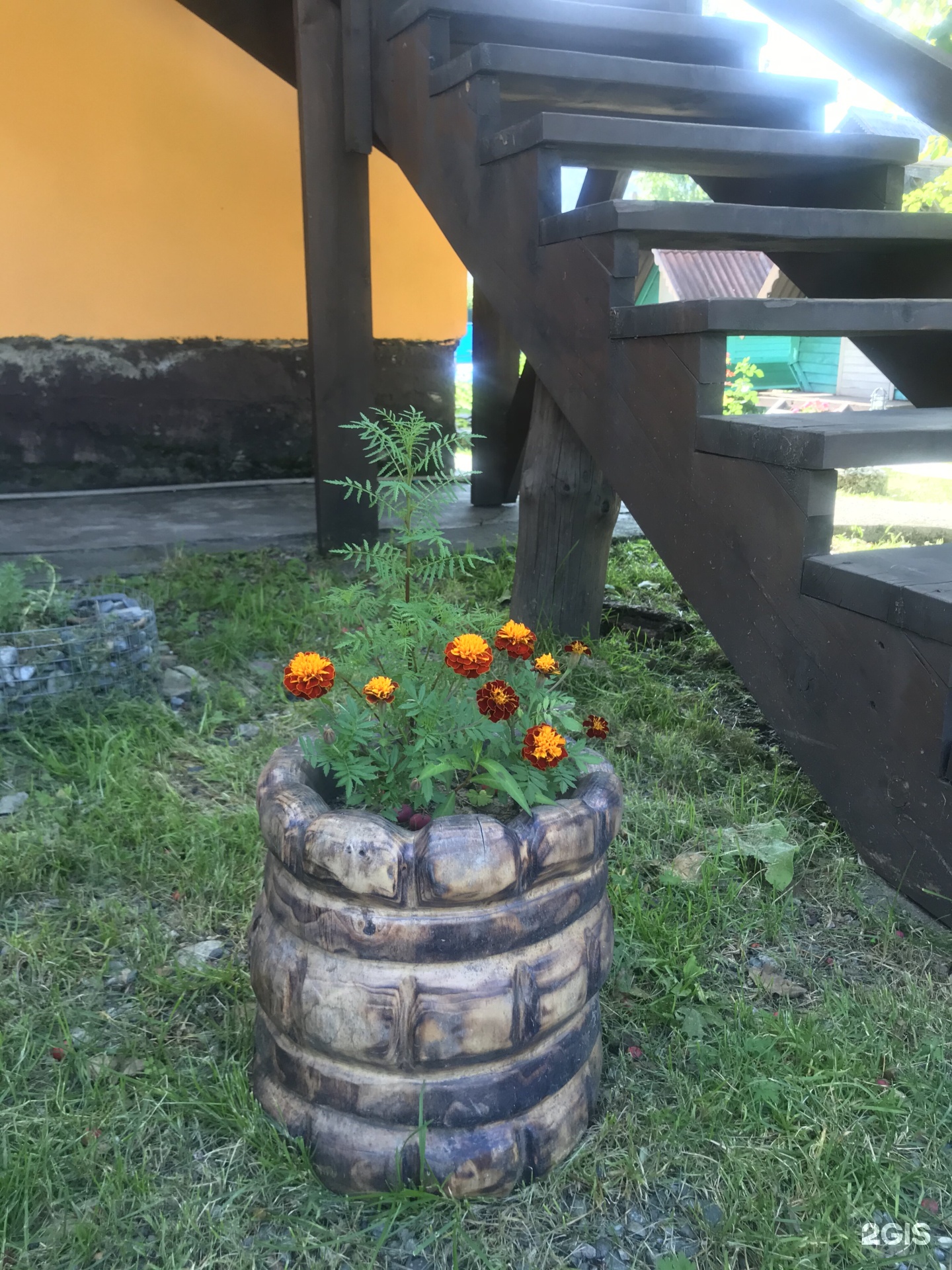 Чечек - фото 120