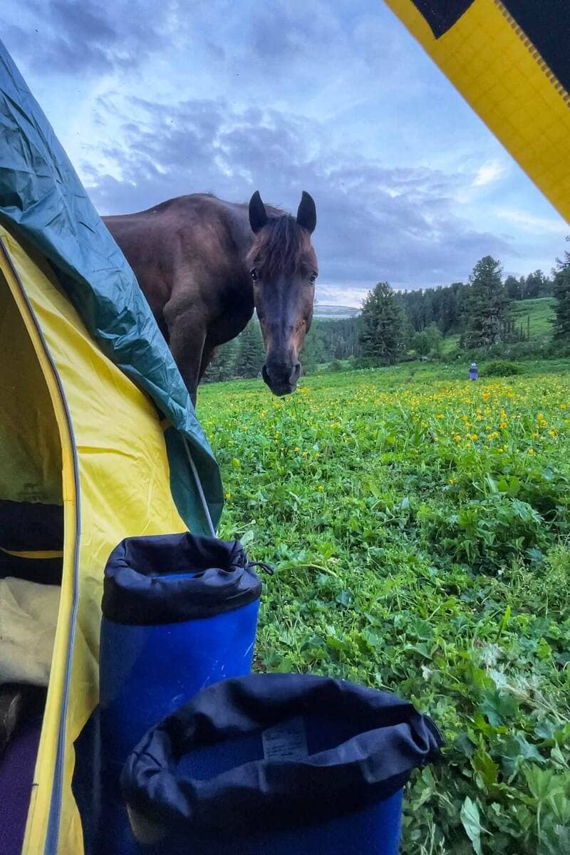 Конный тур по Алтаю «Уймень-озеро — сердце Алтая» - фото 4
